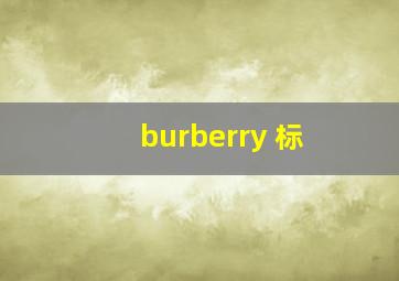 burberry 标